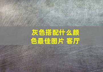 灰色搭配什么颜色最佳图片 客厅